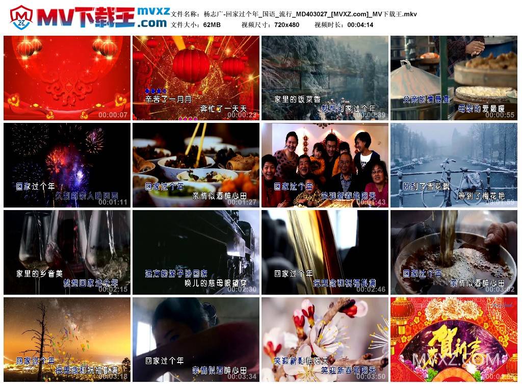 杨志广-回家过个年_国语_流行_MD403027